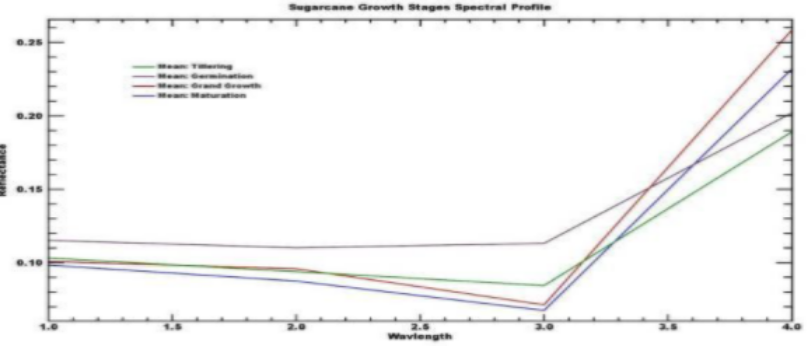 Sugarcane phenology classification