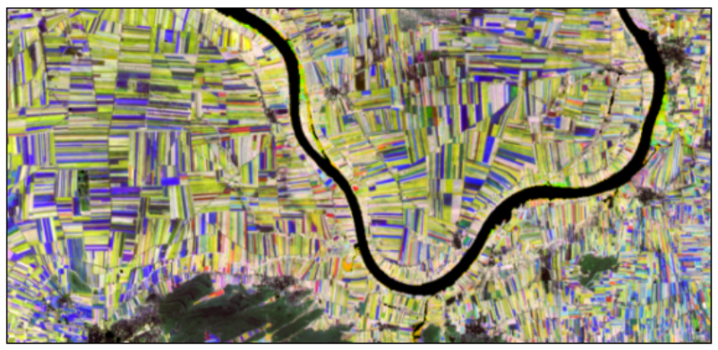 Sugarcane Phenology using Vega-GEOGLAM platform